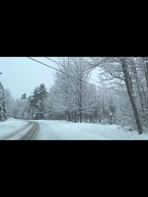 A post by @kona_doodle on TikTok caption: It’s a powder day in the NEK today #jaypeak#skiing#winter#mountain#