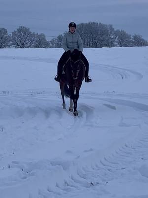 A post by @fynni.with.horses on TikTok caption: Seid ihr schonmal im Schnee geritten?❄️😍 #letitsnow#merci#dressurpferd#winterwonderöand#foryou#fyp#viral 