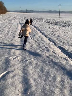 A post by @rachelvogt57 on TikTok caption: #chien #saintbernard #garçon #neige #pourtoi #vacances