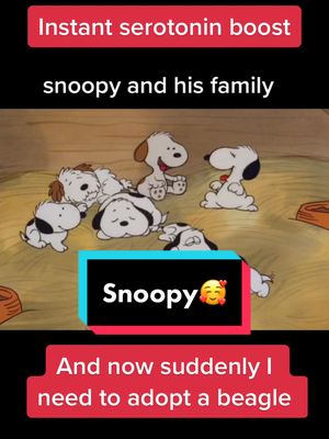 A post by @ayeshashk303 on TikTok caption: #duet with @snoopyclips.s #charlibrown #snoopy #genx