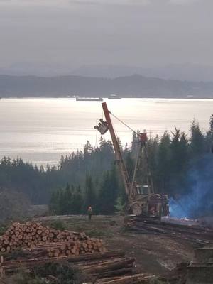 A post by @jakefromwastate on TikTok caption: Monday Vibes 🤙 #logging #forestry #pnw #washington #oregon #astoria #logtruck #fieldmechanic #mechanic #equipment #columbia #coast #yarder