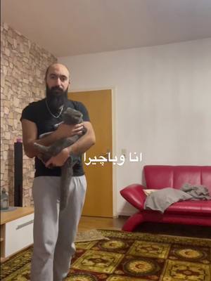 A post by @saadkhelossi on TikTok caption: #nft #foryourpage #MakeNightsEpic #viral #tiktokarab ##المانيا #LearnOnTikTok #fyp #اكسبلوررررررر  #CapCut  