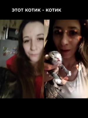 A post by @irinka_er on TikTok caption: #дуэт с @irinka_er #cat