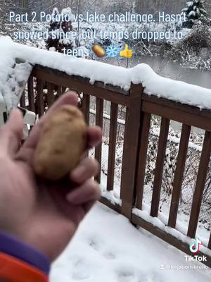 A post by @frejaborisbruno on TikTok caption: #ilostmymind #frozenlake #potato #fyi #snowstorm2022 #christmas2022 #millcreekwa #snowday @Saabguy