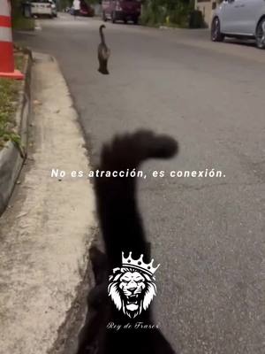 A post by @danyyrios25 on TikTok caption: #frases 