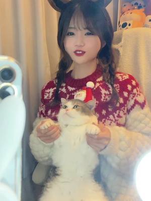 A post by @lilbe62 on TikTok caption: ぽちゃんにサンタさんやってもらた🎅