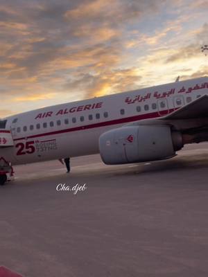 A post by @cha.dje on TikTok caption: #voyage #dzair #dzair🇩🇿 #algerie #algerienne #vol #avion #ghorba #fr #saintetienne #saintetienne42 #lyon #lyon69🇩🇿🇫🇷 #vacance #foryou #lyon69 #lyon69 