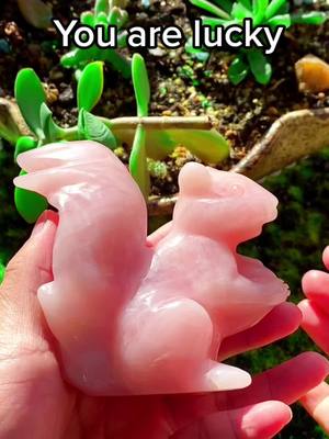 A post by @energycrystal_club on TikTok caption: Good luck 🍀🍀🍀#rosequartz #rosequartzcrystal #squirrel #crystal #crystaltok #crystalshop #crystalhealing #crystalsoftiktok #fyp #lucky 