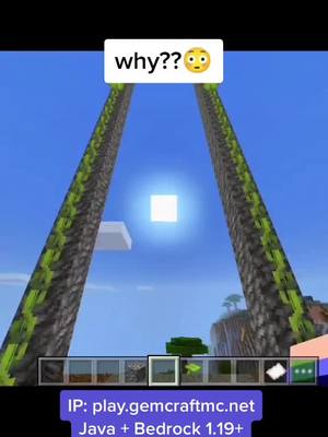 A post by @minecraftmememachine on TikTok caption: Can someone explain pls #minecraftfacts #minecraftmeme #minecraftfunny #minecraftsurvival #minecraftupdate #Minecraft #game #tutorial 