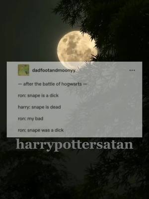 A post by @harrypottersatan on TikTok caption: we all know who taught him proper grammar (cough hermione) #harrypotter #hp #dumbledore #goldenera #hermionegranger #ronweasley #severussnape 