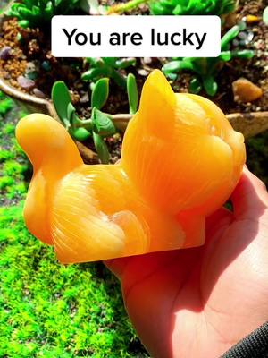 A post by @energycrystal_club on TikTok caption: Good luck 🍀🍀🍀#orangecalcite #calcite #crystalcat #crystal #crystaltok #crystalshop #crystalhealing #crystalsoftiktok #fyp 