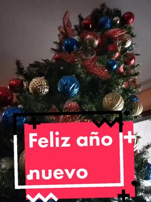 A post by @juancarlos_mexicano on TikTok caption: feliz año nuevo #parati #fyp #humor 