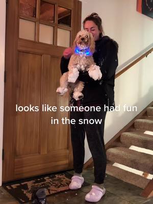 A post by @ggggskittles on TikTok caption: #dog 