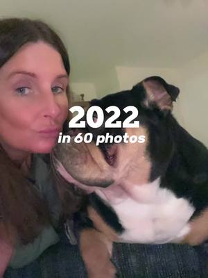 A post by @wee_bulldog_harley on TikTok caption: #CapCut #2022tiktok #happynewyear #dogsoftiktok  Love from a dog is irreplaceable, unconditional and like no other. We are so lucky to have you Harley 🐾 