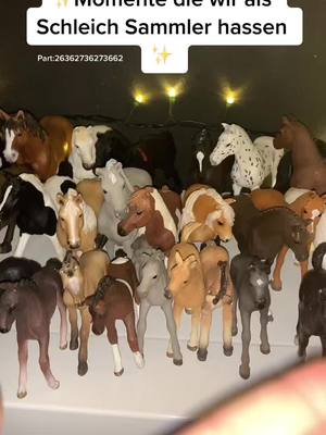 A post by @lejashorsestable on TikTok caption: Kennen wir doch alle !#fyp #viral #schleichhorses #schleich #horses 