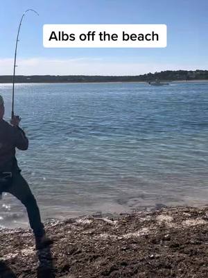 A post by @illsellyouwhat1 on TikTok caption: #fishing #fish #albacore #Albies #t#tiktokf#fishtoka#albsm#mvl#landingfishs#summervibes