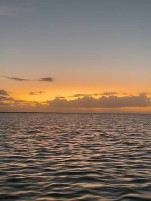 A post by @florcordova73 on TikTok caption: #sunset #yucatan