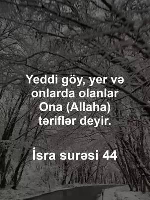 A post by @islam_qurtulusdur on TikTok caption: İsra surəsi 44 #dinivideolarimiz #quranayələri #fyp #kesfet 