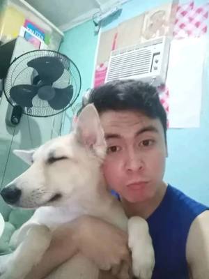 A post by @jhayvinlucero on TikTok caption: Imissyouu Char2x 🥺🙏🦮🤍 #memories #doglover #dogdied