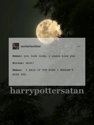 A post by @harrypottersatan on TikTok caption: it’s a abba sort of day today. #harrypotter #hp #marauders #maraudersera #headcanon #siriusblack #padfoot #remuslupin #wolfstar #moony #prongs #jamespotter 