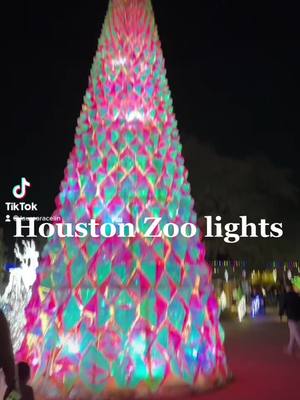 A post by @lauraaracelin on TikTok caption: Zoo lights ❤️#houstonzoolights 