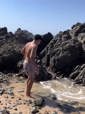 A post by @el_parakeet on TikTok caption: Ningún pez fue lastimado 🐠 #crzgf #parati #viralvideo #comedy #viral 