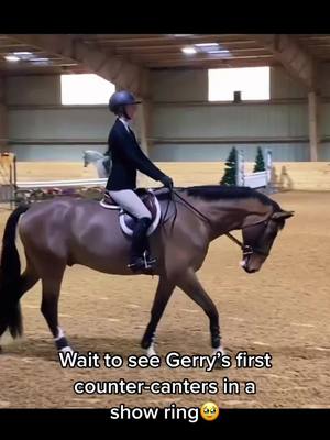 A post by @anniejones204 on TikTok caption: Proud mom moment. He did so well considering how crowded that ring gets.. 🦄#equitationhorseinthemaking #horseshowlife #adultamateurequestrian #adultammy #younghorse #equestrian