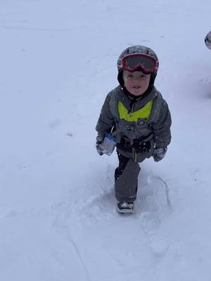 A post by @nismojames on TikTok caption: 3rd season at 4 years old. This boy is good at everything 🏂 #snowboarding #kidswhosnowboard #kidsgottalent #prokid #shaunwhite #scottylago #kidsoftiktok #daddysboy #coolkid #wildboy #california #mtshasta #mtshastaskipark #powderday #snowboardtiktok #lilripper #marshmello #stuntkids #futurepro #burton #ridesnowboards #flowbindings #flow #libtech #slopestyle #freestyle #XGames #redbull #monsterenergy #rockstar 