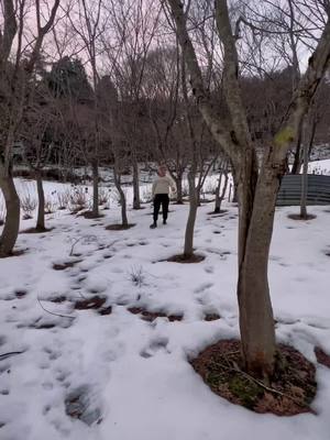 A post by @gustavoks24 on TikTok caption: Y voy a cumplir mi misión 🐻🐾 #parati #fyp #viral #nieve #foryou 