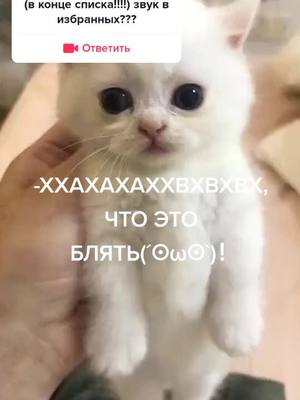 A post by @.twikcii on TikTok caption: #ответ для @kriperiha я просолчу #fyp #fypシ #fup #ответынавопросы