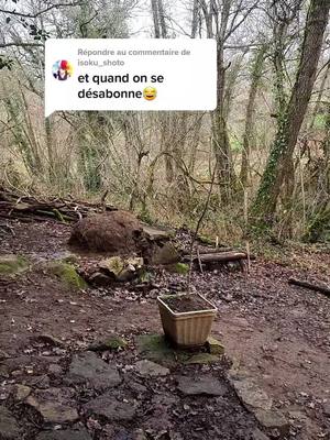 A post by @indien.fr on TikTok caption: Réponse à @isoku_shoto 