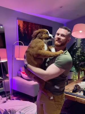 A post by @jeffy1989 on TikTok caption: He’s such a #bigbaby #fyp #puppy #justababy 