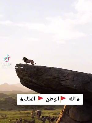 A post by @nadiaaa731 on TikTok