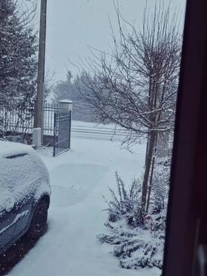 A post by @frockybalboa on TikTok caption: snowfall in East Germany 