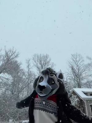 A post by @sheenitude on TikTok caption: Cold weather >>> #furry #fursuit 