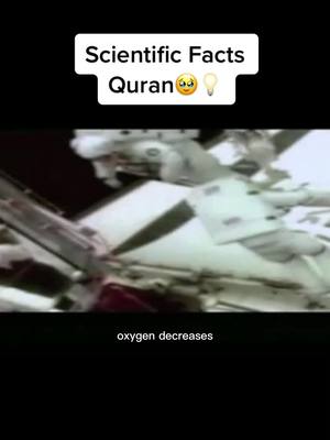 A post by @quranpurity on TikTok caption: Allahuakbar🥹🤍 #allahreminder #godreminder #convertmuslim #scientificfacts #educatinguk #shadowban 