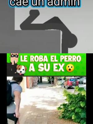 A post by @el_mister05 on TikTok caption: Me inclino ante usted #joven #xd #admin #heroe #perro #fypシ 