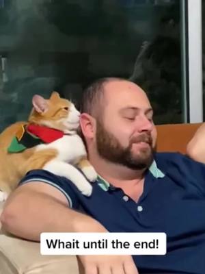 A post by @cutepetlovermi on TikTok caption: Cute moment😘#cat #catsoftiktok #foryou #pet #funny #cute #petlover #viral #fyp 