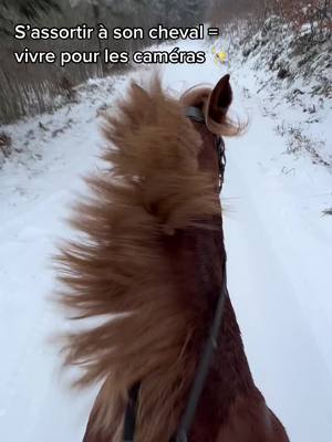 A post by @clo_eventing on TikTok caption: Une addiction >> #fyp #foryou #pourtoi #vivrepourlescameras 