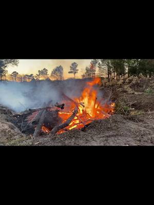 A post by @juanescobedo750 on TikTok caption: Juan construction and demo. We mulched and deforested 5 acres here in the Crosby area off HWY 90 and 2100.   Below is a time lapse of all work done. If your interested in a project done similar to this or any type of residential or commercial construction please feel free to message us on here or at 713-377-6811/ jtinc75@gmail.com