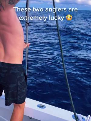 A post by @tackledirect on TikTok caption: Never give up 🙏 #luck #fisherman #fishing #fishtok #fail #success #bigfish #angling #offshorefishing  #lindgrenpittman #lucky #fishingtiktoks #fishingrod #fyp #foryou #fishcontent #fishinggear #deepsea #deepseafishing #nevergiveup 