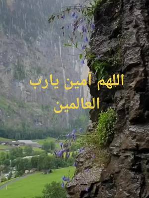 A post by @muon12387f on TikTok caption: #CapCut # السعودية    سوريا.   فلسطين