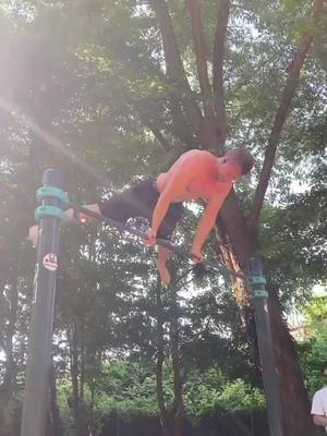 A post by @christhenics_official on TikTok caption: Macht mal das Plus weg ihr Gauner! #calisthenics #streetworkout #planche #foryou @TikTok Deutschland #viral 