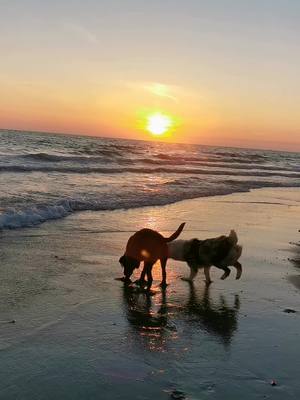 A post by @nalatheaussiegirl on TikTok caption: #sunset