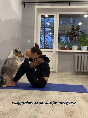 A post by @silver_dog_house on TikTok caption: Согласны?❤️