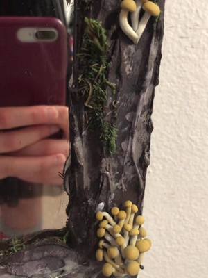 A post by @kyliesmenagerie on TikTok caption: #mirror #mirrorchallenge #mirrorframe #mushroomart #mushroom #mushrooms #cottagecore #cottagecoreaesthetic #forestcore #forest #fairy #fairycoreaesthetic #fairycore #handmade #DIY #crafts #tree #bark #painting #sculpting #sculpture #fyp #mushroomcore #ooak #cool #artistsoftiktok #artist #moss #woodland #squrriel #redsquirrel #animalsoftiktok #homedecor #decore #homediyproject #Home #homediy 