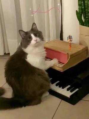 A post by @pet_investigator on TikTok caption: This is an artist🐈 #cat #kitty #kitten #catlover #catsoftiktok #catsounds #funnycat #pet #tiktokpets #lovecat #viraltiktok #goviral #meow @pet_investigator 