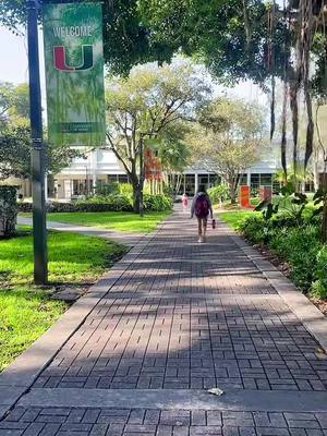 A post by @angelantionette on TikTok caption: not too much on me now😭i tried lol but my schedule is boring #umiami #miami #fyp