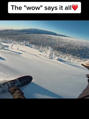 A post by @80sdisneyprince on TikTok caption: Who else dislikes snowmobile tracks in your pow run?😂 #splitboarding #gopro #pov #sweden #pow #bluebird 