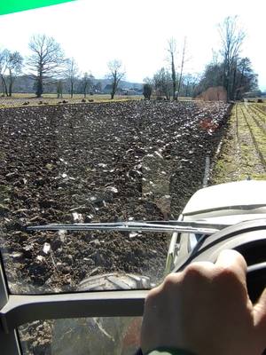 A post by @le_petit_agri4 on TikTok caption: Labour d'hiver avec le Claas #tracteur #pourtoichallenge #pourtoii #pourtoi #labour #Claas 